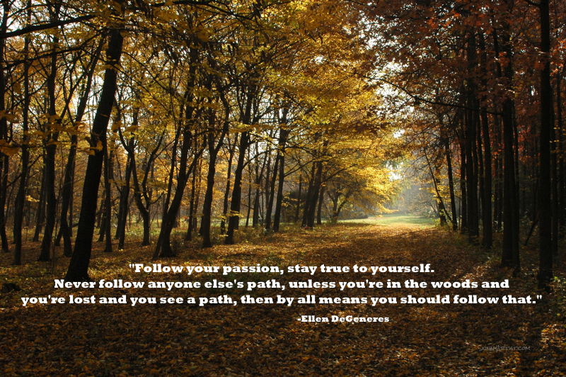 Quotes About Following Your Own Path. QuotesGram