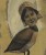 Amanda Beck Artist